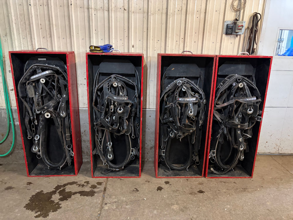 Harness Box Show Harness in Boxes - Wild Rose Draft Horse Association